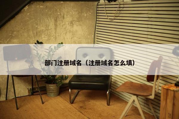 部门注册域名（注册域名怎么填）