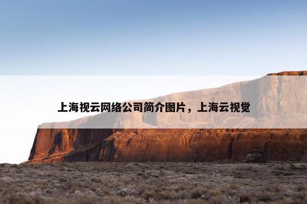 上海视云网络公司简介图片，上海云视觉