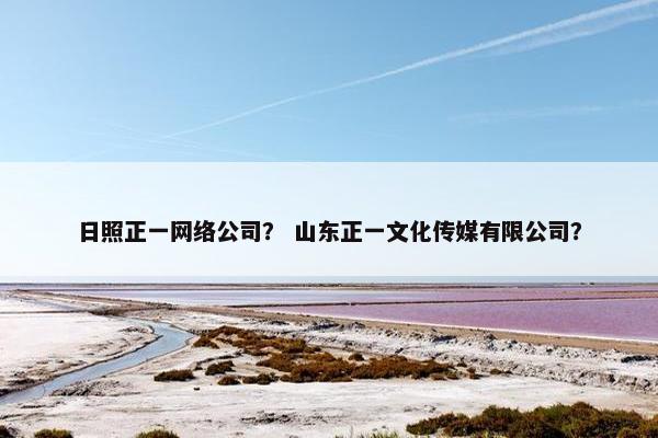 日照正一网络公司？ 山东正一文化传媒有限公司？
