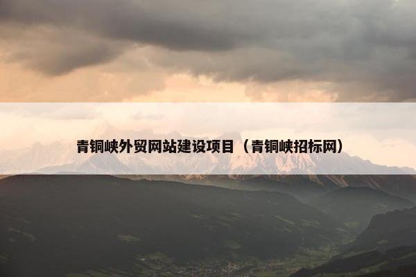 青铜峡外贸网站建设项目（青铜峡招标网）