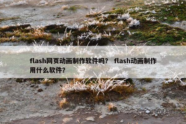 flash网页动画制作软件吗？ flash动画制作用什么软件？