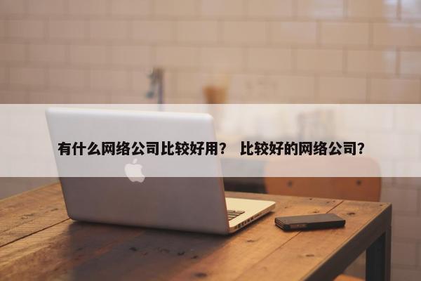 有什么网络公司比较好用？ 比较好的网络公司？