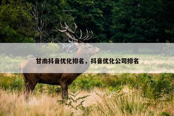 甘南抖音优化排名，抖音优化公司排名
