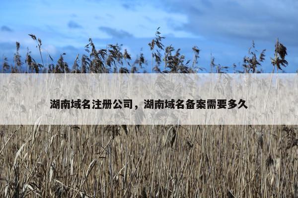 湖南域名注册公司，湖南域名备案需要多久