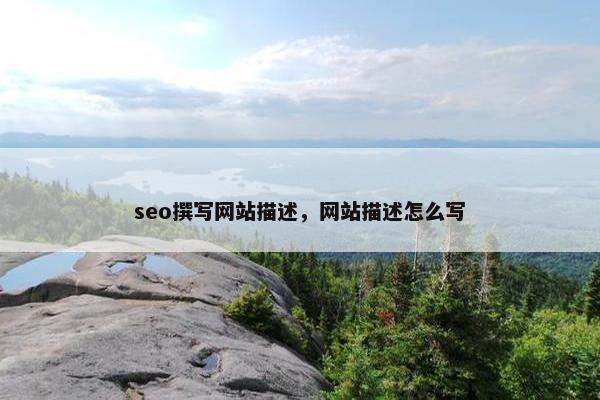 seo撰写网站描述，网站描述怎么写
