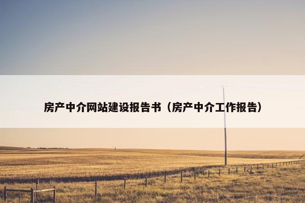 房产中介网站建设报告书（房产中介工作报告）