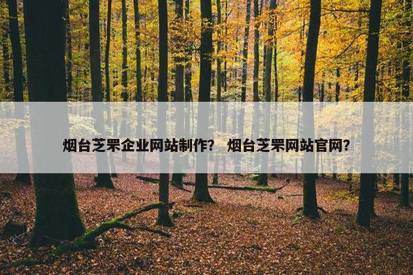 烟台芝罘企业网站制作？ 烟台芝罘网站官网？