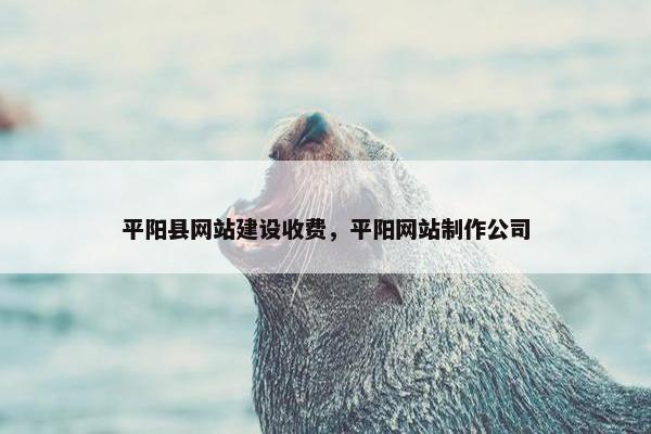 平阳县网站建设收费，平阳网站制作公司