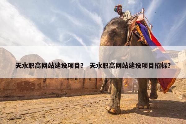 天水职高网站建设项目？ 天水职高网站建设项目招标？