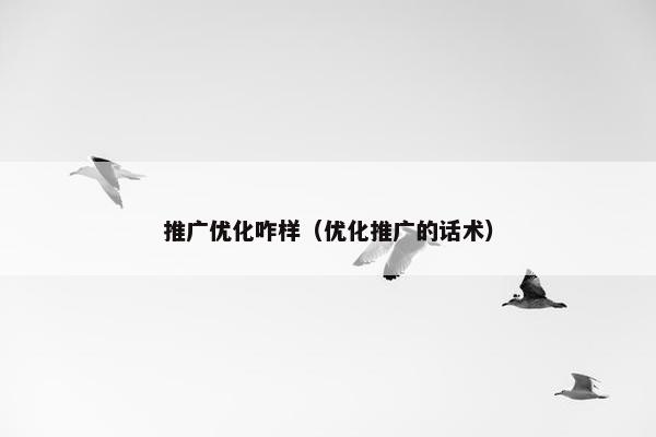 推广优化咋样（优化推广的话术）