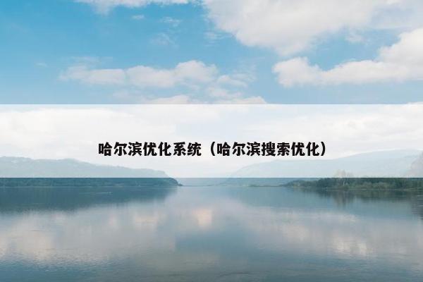 哈尔滨优化系统（哈尔滨搜索优化）