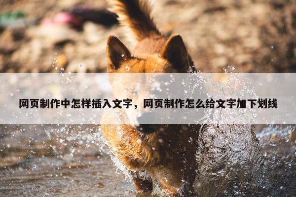 网页制作中怎样插入文字，网页制作怎么给文字加下划线