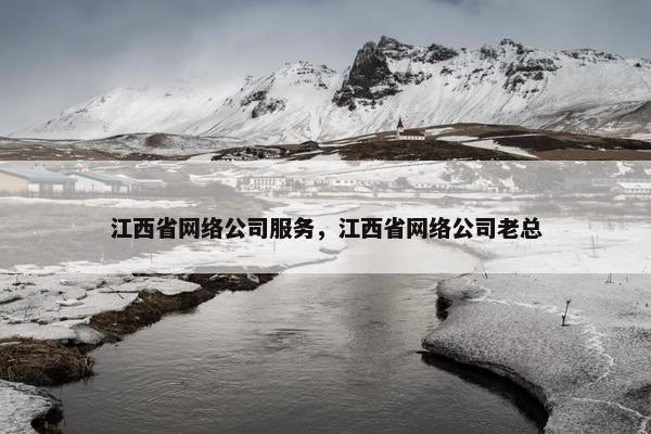 江西省网络公司服务，江西省网络公司老总
