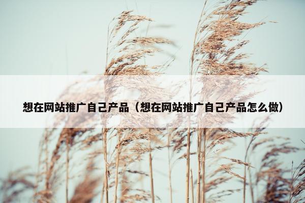 想在网站推广自己产品（想在网站推广自己产品怎么做）