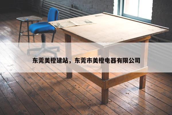 东莞美橙建站，东莞市美橙电器有限公司