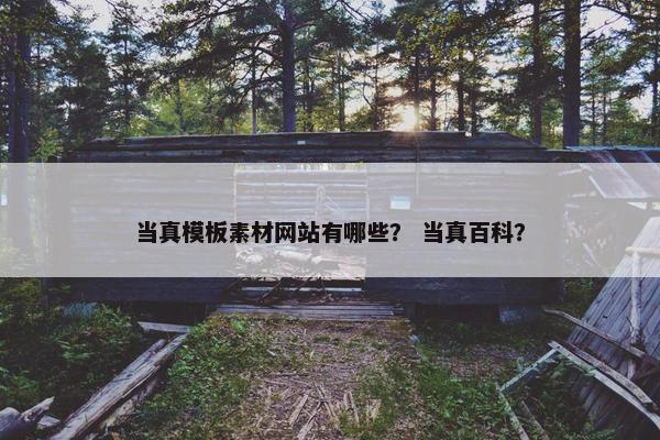 当真模板素材网站有哪些？ 当真百科？