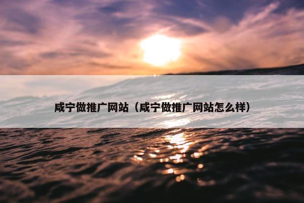 咸宁做推广网站（咸宁做推广网站怎么样）