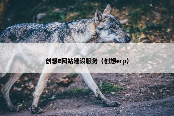 创想E网站建设服务（创想erp）