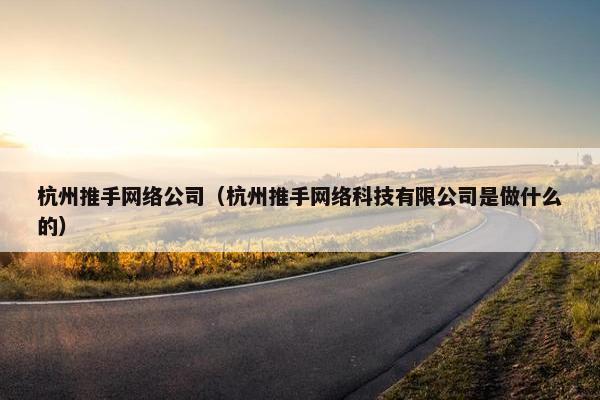杭州推手网络公司（杭州推手网络科技有限公司是做什么的）