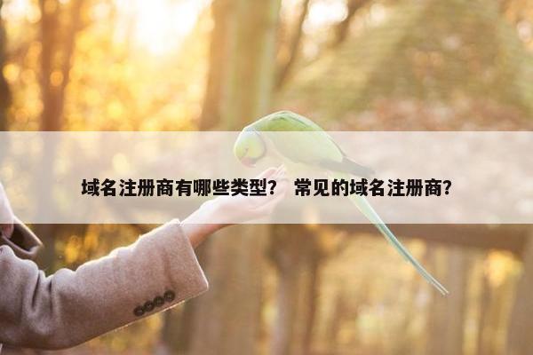 域名注册商有哪些类型？ 常见的域名注册商？