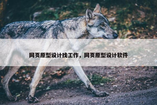 网页原型设计找工作，网页原型设计软件