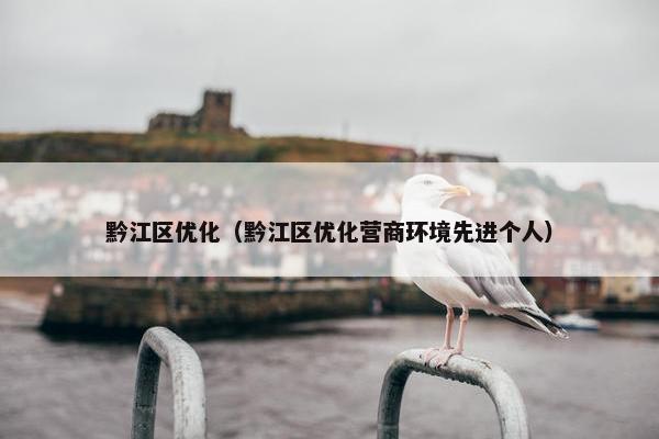 黔江区优化（黔江区优化营商环境先进个人）