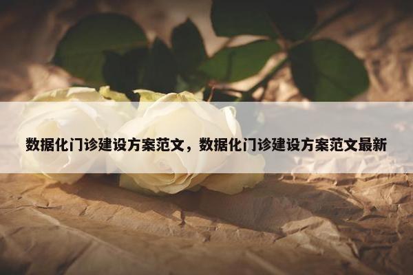 数据化门诊建设方案范文，数据化门诊建设方案范文最新