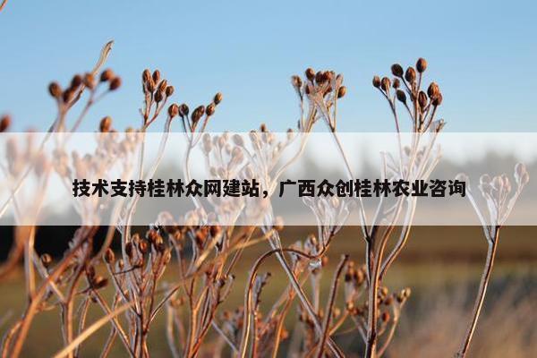 技术支持桂林众网建站，广西众创桂林农业咨询