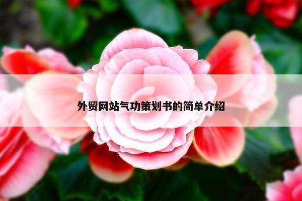 外贸网站气功策划书的简单介绍 外贸网站气功策划书的简单介绍