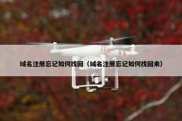 域名注册忘记如何找回（域名注册忘记如何找回来）