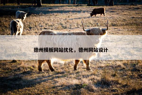 德州模板网站优化,德州网站设计 德州模板网站优化,德州网站设计