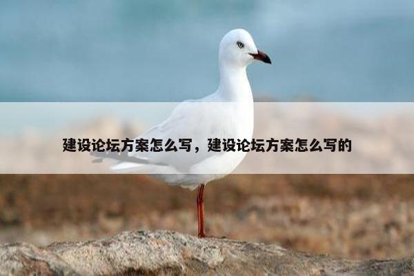 建设论坛方案怎么写,建设论坛方案怎么写的 建设论坛方案怎么写,建设论坛方案怎么写的