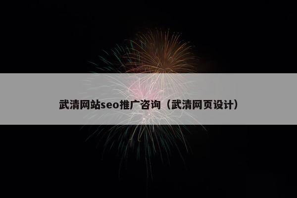 武清网站seo推广咨询(武清网页设计) 武清网站seo推广咨询(武清网页设计)