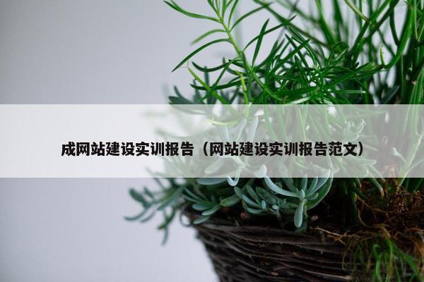 成网站建设实训报告(网站建设实训报告范文) 成网站建设实训报告(网站建设实训报告范文)