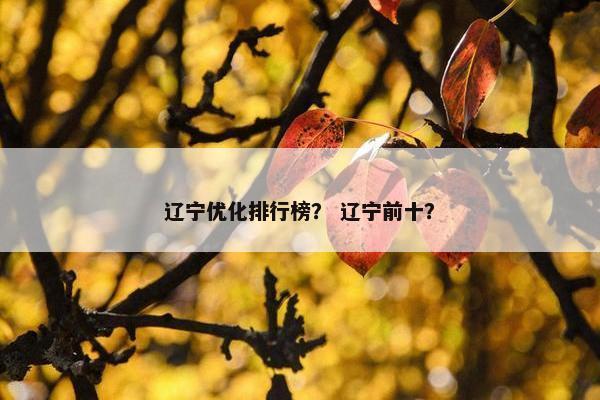 辽宁优化排行榜? 辽宁前十? 辽宁优化排行榜? 辽宁前十?