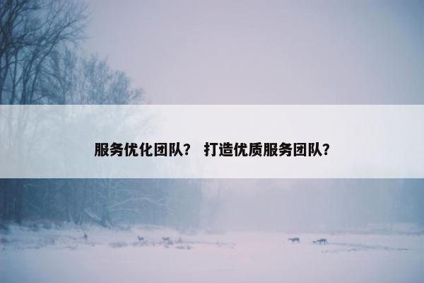 服务优化团队？ 打造优质服务团队？