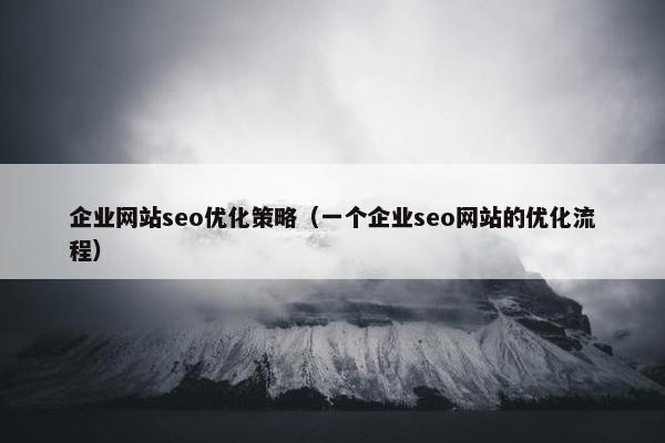 企业网站seo优化策略(一个企业seo网站的优化流程) 企业网站seo优化策略(一个企业seo网站的优化流程)