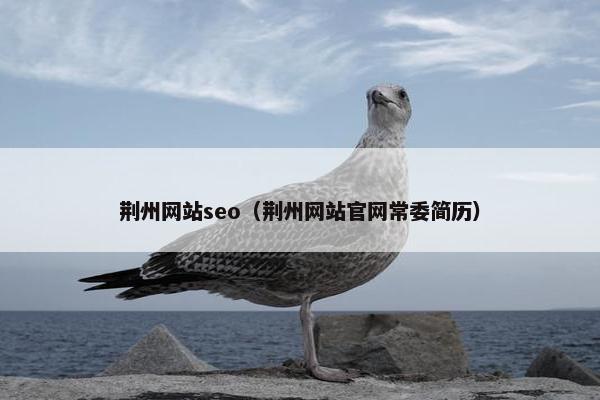 荆州网站seo(荆州网站官网常委简历) 荆州网站seo(荆州网站官网常委简历)
