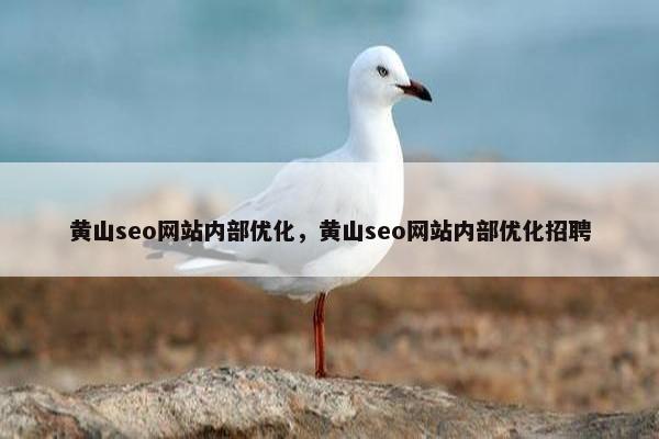 黄山seo网站内部优化，黄山seo网站内部优化招聘