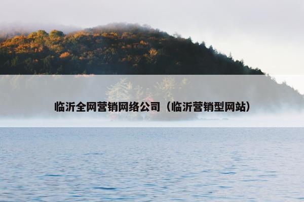 临沂全网营销网络公司（临沂营销型网站）