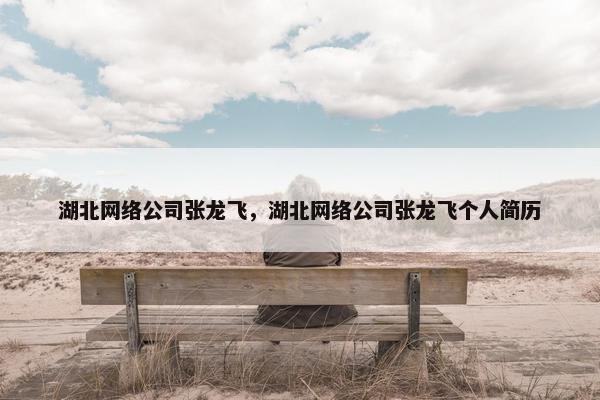 湖北网络公司张龙飞，湖北网络公司张龙飞个人简历