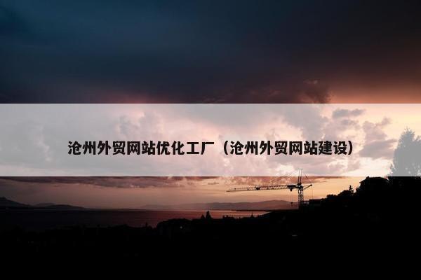 沧州外贸网站优化工厂（沧州外贸网站建设）