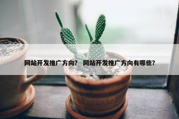 网站开发推广方向？ 网站开发推广方向有哪些？
