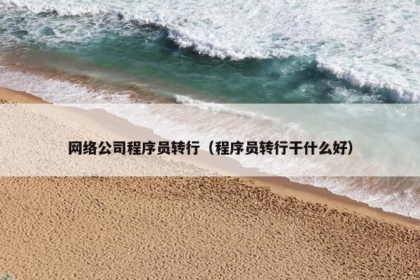 网络公司程序员转行（程序员转行干什么好）