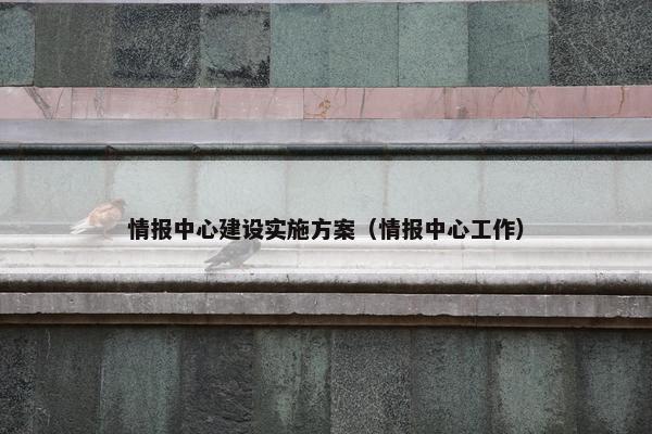 情报中心建设实施方案（情报中心工作）