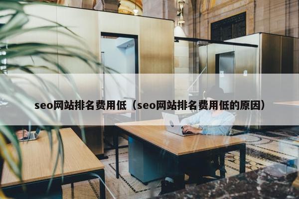 seo网站排名费用低（seo网站排名费用低的原因）