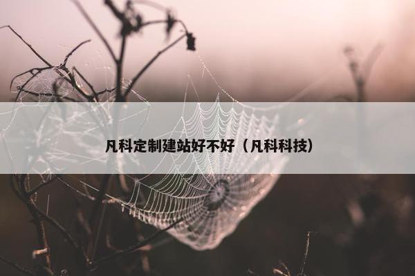 凡科定制建站好不好（凡科科技）