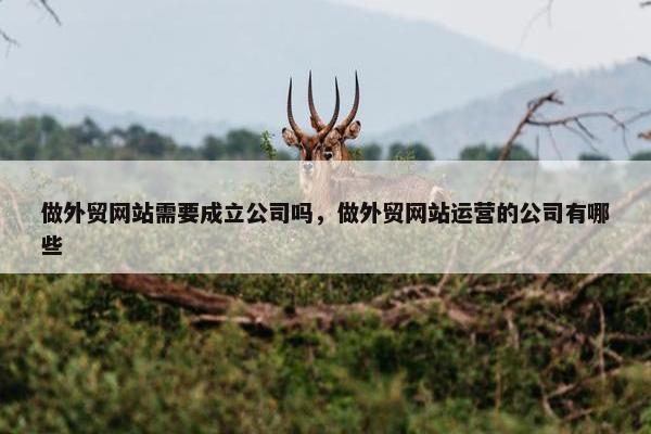 做外贸网站需要成立公司吗，做外贸网站运营的公司有哪些
