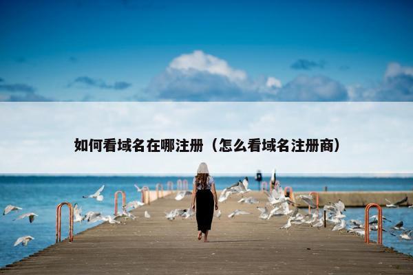如何看域名在哪注册(怎么看域名注册商) 如何看域名在哪注册(怎么看域名注册商)