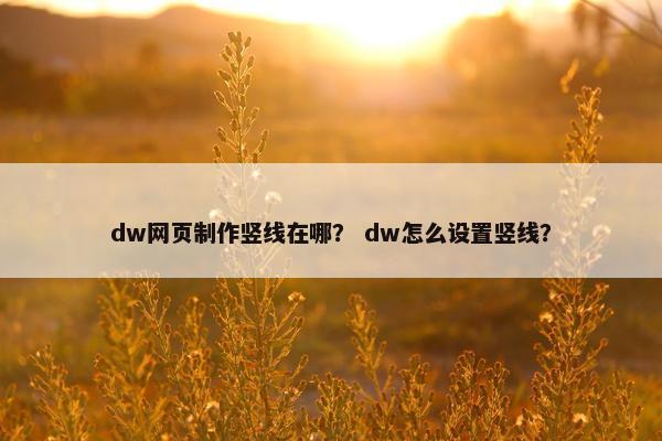dw网页制作竖线在哪？ dw怎么设置竖线？